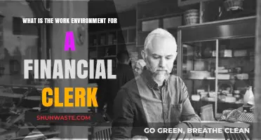 Exploring the Daily Work Environment of a Financial Clerk