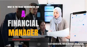 Exploring the Dynamic Work Environment of a Financial Manager