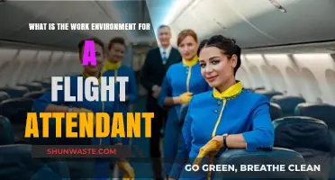 Exploring the Dynamic Work Environment of a Flight Attendant