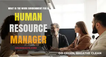 Exploring the Dynamic Work Environment of a Human Resource Manager