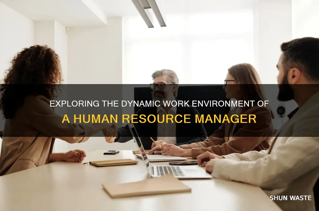 Exploring The Dynamic Work Environment Of A Human Resource Manager ...
