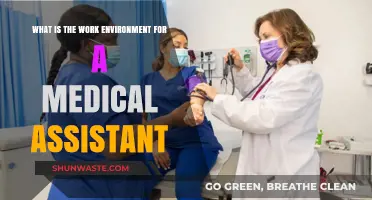 Exploring the Dynamic Work Environment of a Medical Assistant
