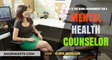 Exploring the Supportive and Challenging Work Environment of Mental Health Counselors