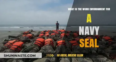 Inside the Intense, High-Stakes Work Environment of a Navy SEAL