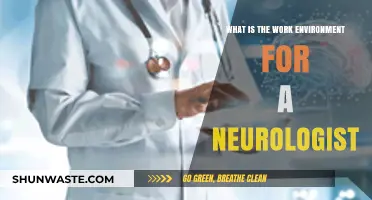 Exploring the Work Environment of a Neurologist: Challenges and Rewards