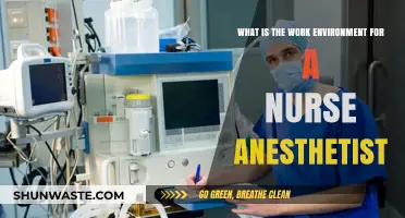 Exploring the Nurse Anesthetist Work Environment: Challenges and Rewards