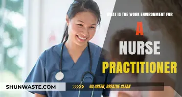Exploring the Nurse Practitioner Work Environment: Challenges, Rewards, and Dynamics
