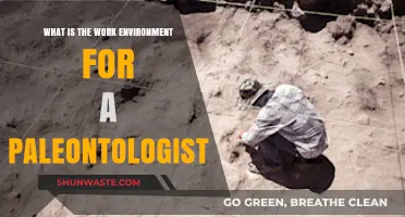 Exploring the Work Environment of a Paleontologist: Field, Lab, and Beyond