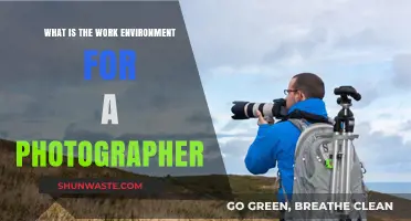 Exploring the Creative and Dynamic Work Environment of Photographers