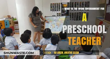 Exploring the Engaging and Nurturing Work Environment of Preschool Teachers