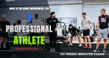 Professional Athletes' Work Environment: Rigors, Rewards, and Realities Explored