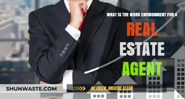 Exploring the Dynamic Work Environment of a Real Estate Agent