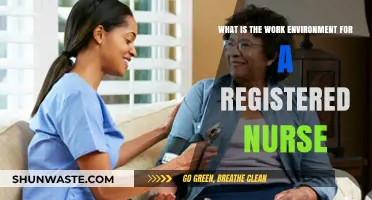 Exploring the Dynamic Work Environment of a Registered Nurse