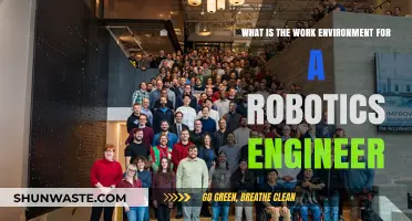 Exploring the Dynamic Work Environment of Robotics Engineers
