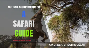 Exploring the Wild: A Safari Guide's Work Environment Revealed