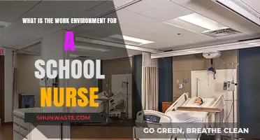 Exploring the School Nurse Work Environment: Challenges, Rewards, and Daily Life