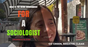 Exploring the Diverse Work Environment of a Sociologist