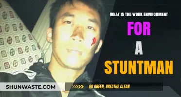 Behind the Scenes: The High-Risk, High-Reward World of Stuntmen