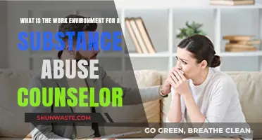 Substance Abuse Counseling: Understanding the Work Environment and Challenges