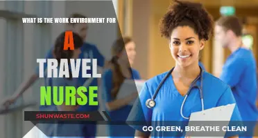 Exploring the Dynamic Work Environment of a Travel Nurse
