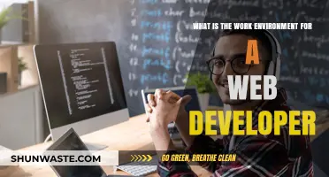 Exploring the Web Developer's Work Environment: Tools, Culture, and Dynamics