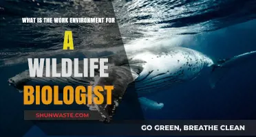 Exploring the Diverse Work Environment of a Wildlife Biologist