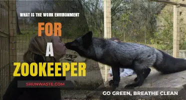 Exploring the Daily Life and Work Environment of a Zookeeper