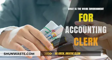 Exploring the Daily Work Environment of an Accounting Clerk
