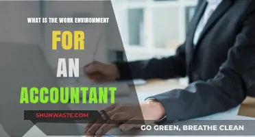 Exploring the Accountant's Work Environment: Culture, Challenges, and Daily Life