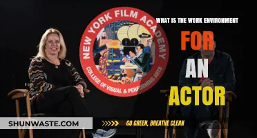Exploring the Dynamic Work Environment of Actors: Challenges and Rewards