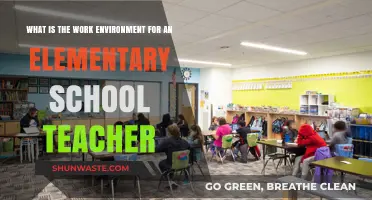 Exploring the Dynamic Work Environment of Elementary School Teachers