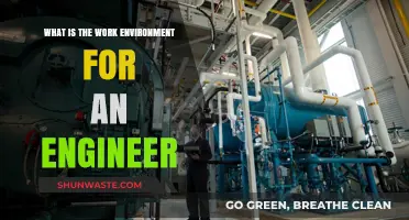 Exploring the Dynamic Work Environment of Engineers: Challenges and Rewards