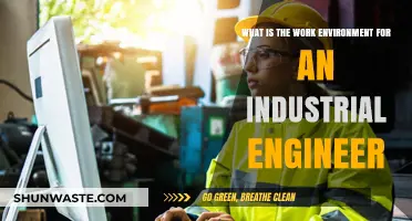 Exploring the Dynamic Work Environment of Industrial Engineers