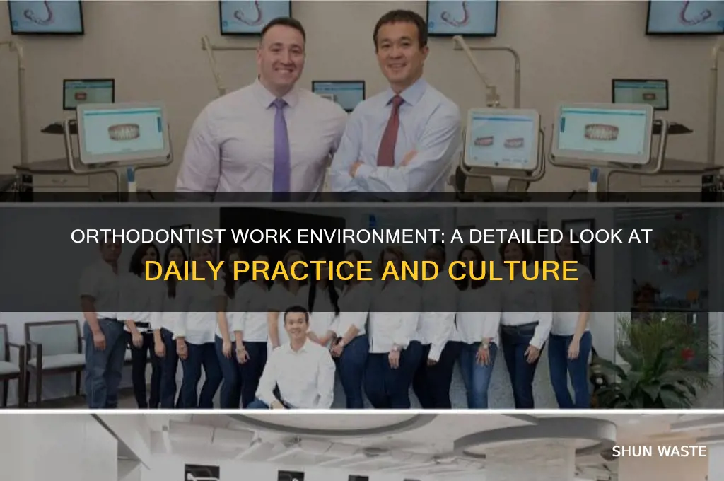 what is the work environment for an orthodontist