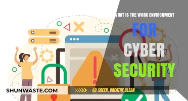 Exploring the Dynamic Work Environment in Cyber Security Careers