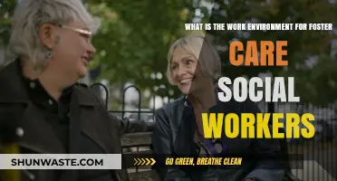 Exploring the Foster Care Social Worker's Work Environment and Challenges