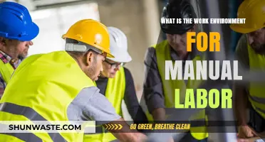 Exploring the Work Environment for Manual Labor: Challenges and Rewards
