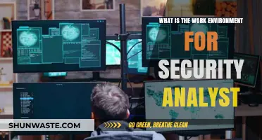 Exploring the Dynamic Work Environment of a Security Analyst