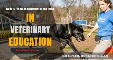 Exploring the Unique Work Environment in Veterinary Education