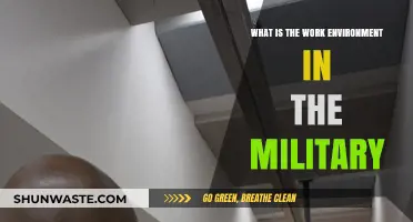 Military Work Environment: Structure, Discipline, and Team Dynamics Explained