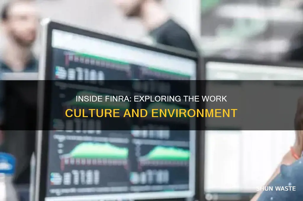 what is the work environment like at finra