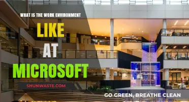 Exploring Microsoft's Work Culture: Environment, Benefits, and Employee Experience