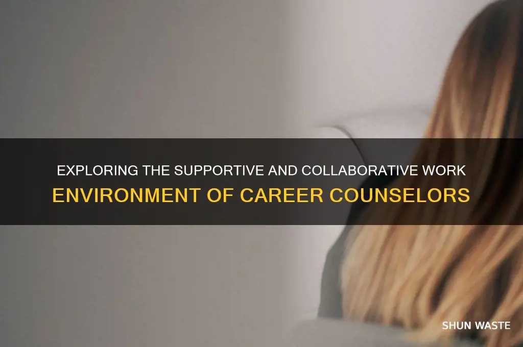 what is the work environment like for a career counselor