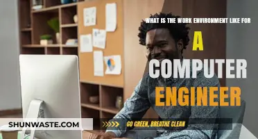 Exploring the Dynamic Work Environment of a Computer Engineer