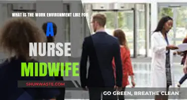 Nurse Midwife Work Environment: Challenges, Rewards, and Daily Realities