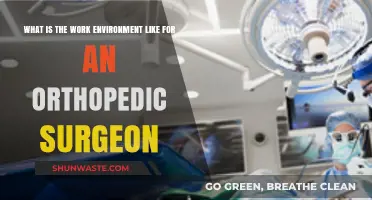 Orthopedic Surgeon Work Environment: Challenges, Rewards, and Daily Realities