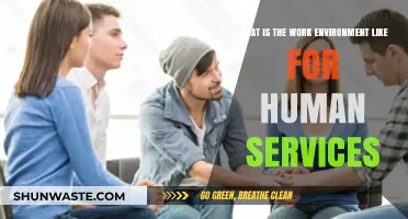 Exploring the Human Services Work Environment: Culture, Challenges, and Rewards