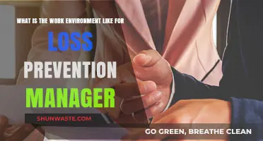 Exploring the Daily Work Environment of a Loss Prevention Manager