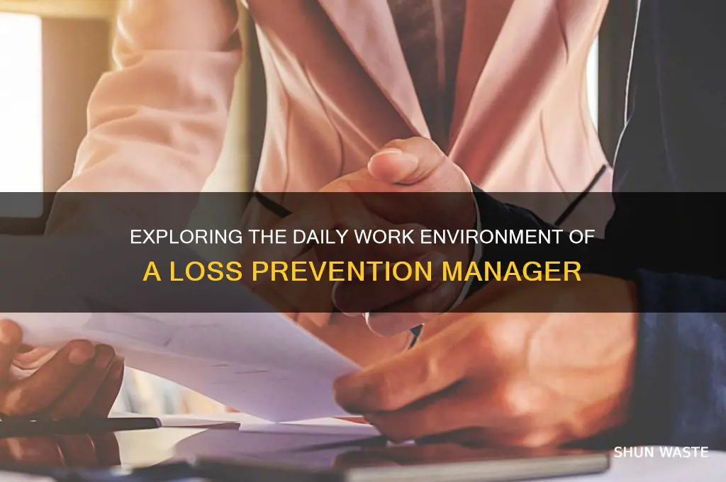 what is the work environment like for loss prevention manager