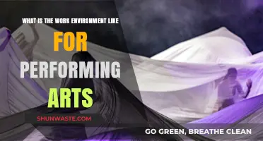 Exploring the Dynamic Work Environment of Performing Arts Professionals